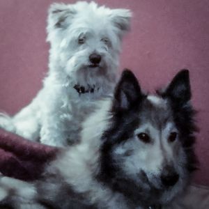 Meet your Posher, Renee